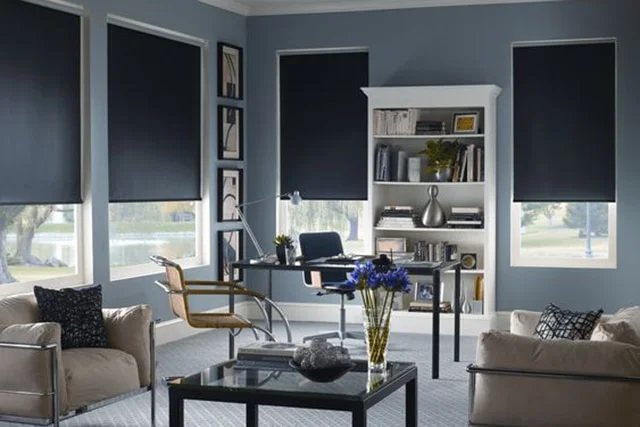 ROLLERS SCREEN / BLACKOUT